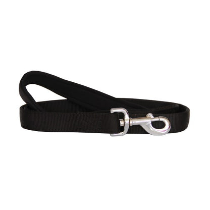 Beau Pets – Neoprene Handle – Nylon Lead