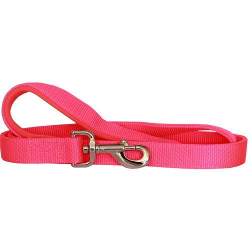 Beau Pets – Neoprene Handle – Nylon Lead