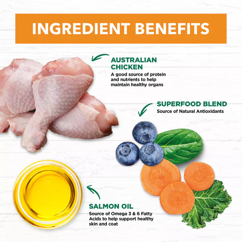 Ivory Coat - Cat - Grain Free - Chicken