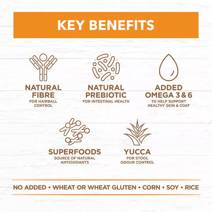 Ivory Coat - Cat - Grain Free - Chicken