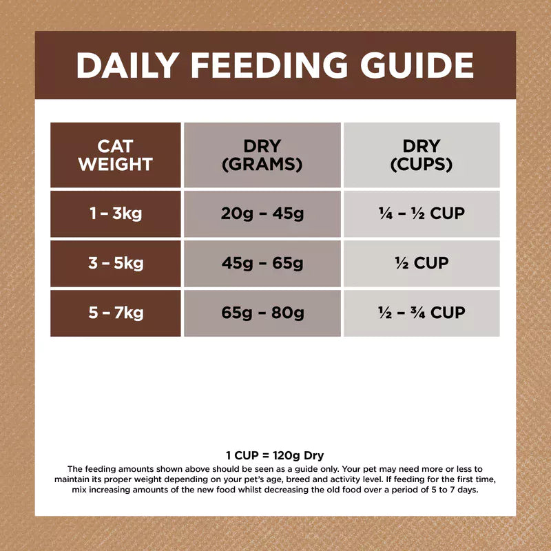 Ivory Coat - Cat - Grain Free - Chicken & Kangaroo