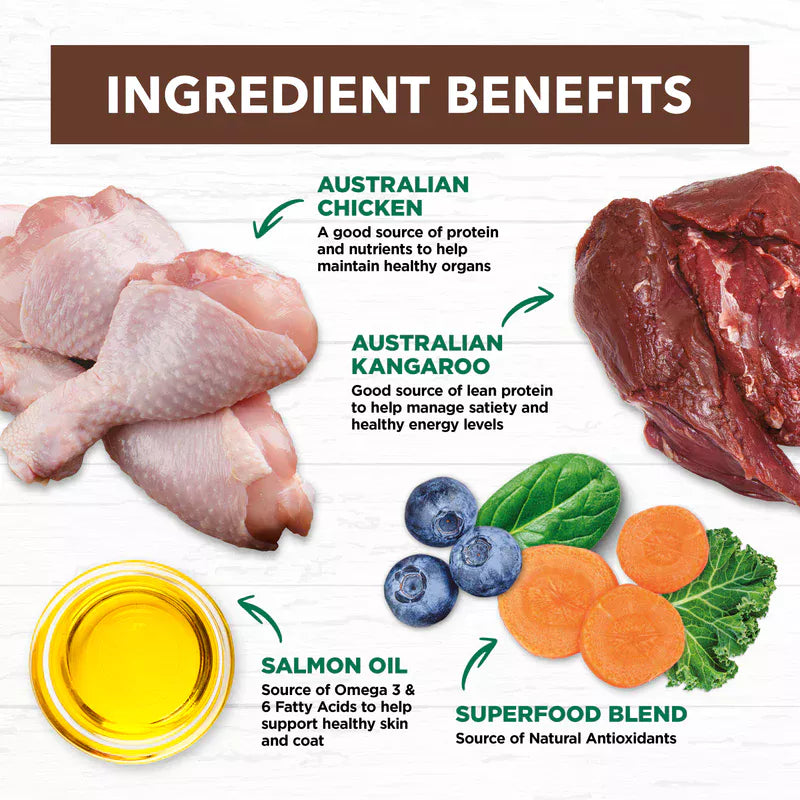 Ivory Coat - Cat - Grain Free - Chicken & Kangaroo