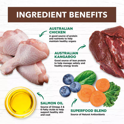 Ivory Coat - Cat - Grain Free - Chicken & Kangaroo