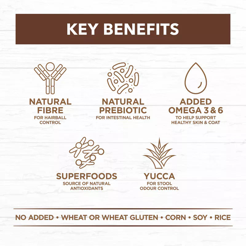 Ivory Coat - Cat - Grain Free - Chicken & Kangaroo