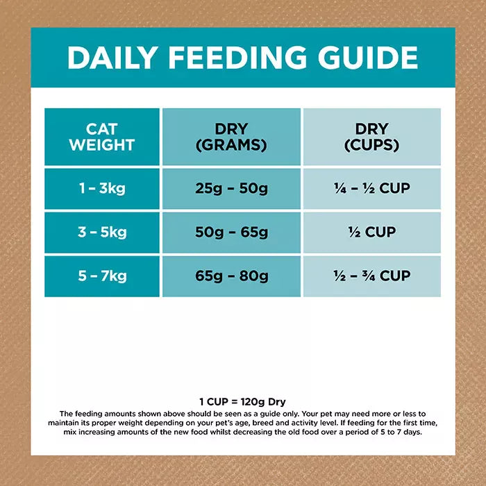 Ivory Coat - Adult Cat - Grain Free - Ocean Fish & Salmon