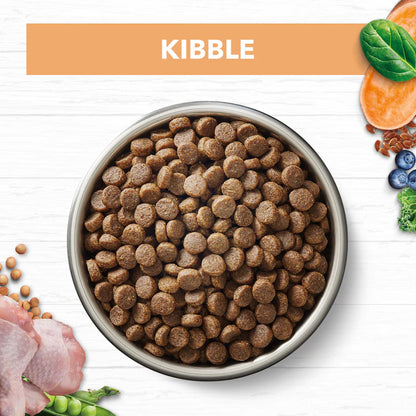 Ivory Coat - Kitten - Grain Free - Chicken - 2kg