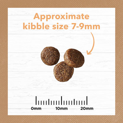 Ivory Coat - Kitten - Grain Free - Chicken - 2kg