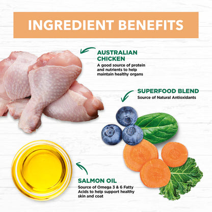 Ivory Coat - Kitten - Grain Free - Chicken - 2kg