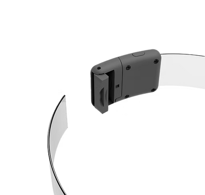 WAUDOG – LED Collar