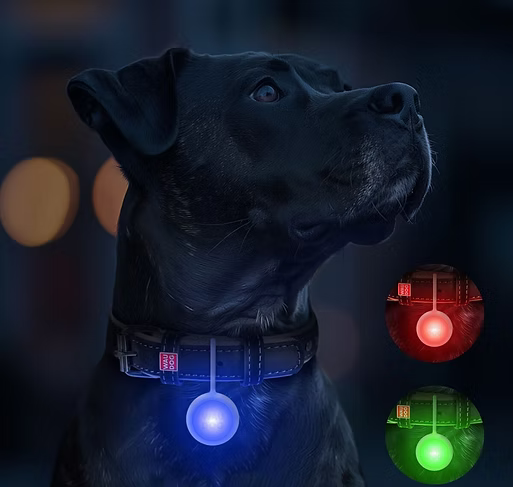 WAUDOG – LED Dog Light