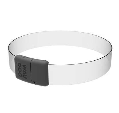 WAUDOG – LED Collar