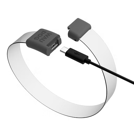 WAUDOG – LED Collar