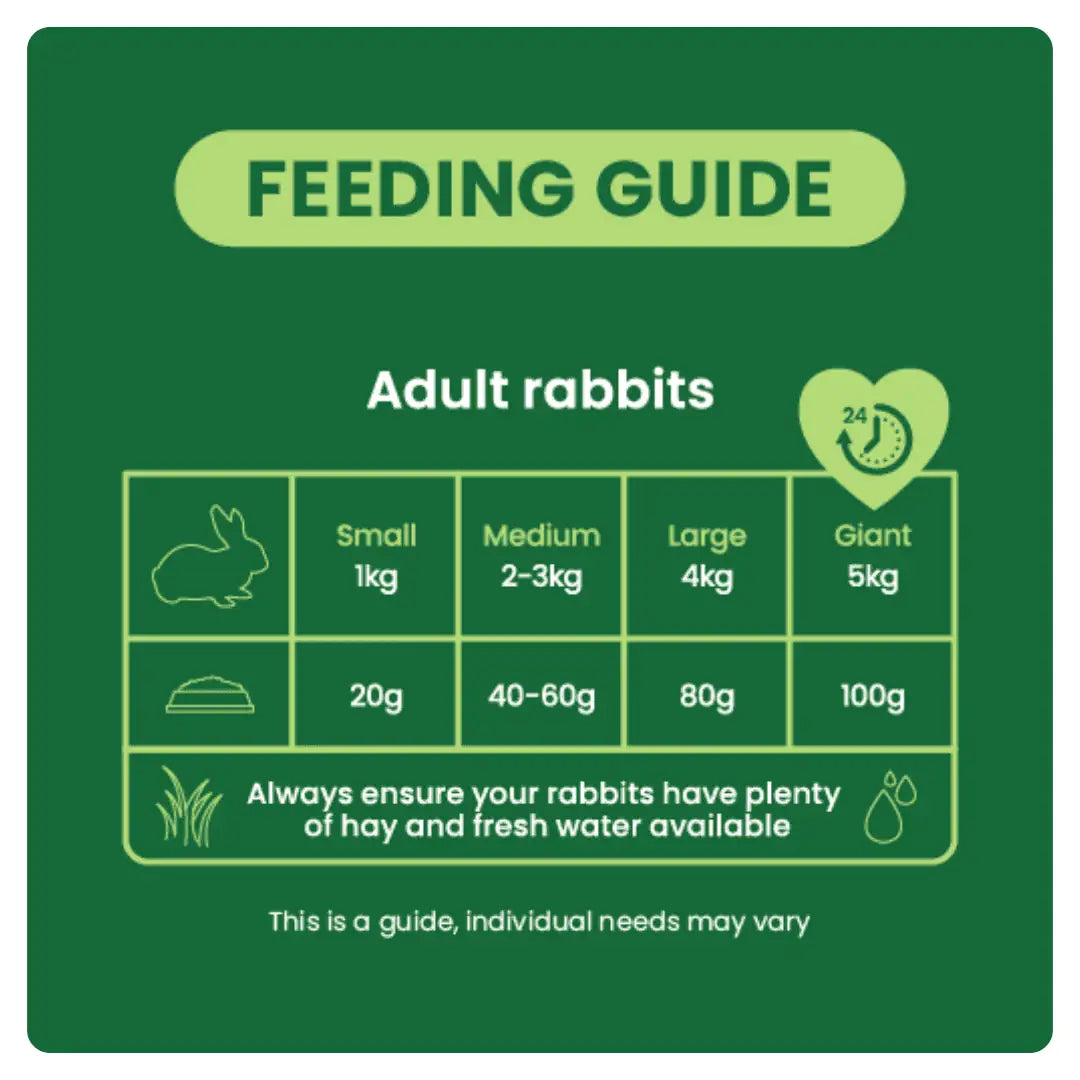 Burgess Excel Adult Rabbit Nuggets Mint 1.5Kg
