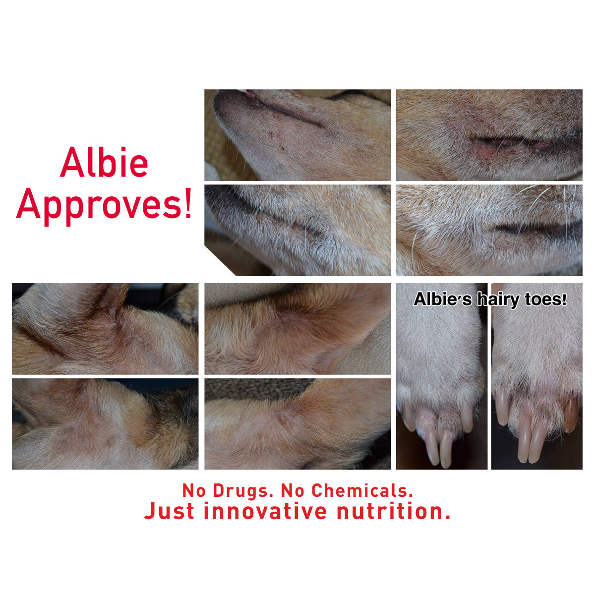 Augustine Approved Faith'S Cleanse & Detox 260G