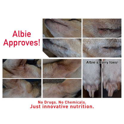 Augustine Approved Faith'S Cleanse & Detox 260G