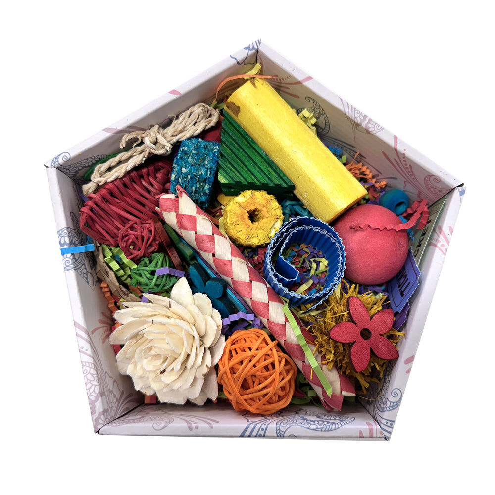 Beak Joy Happy Wings Toy Box Small or Large