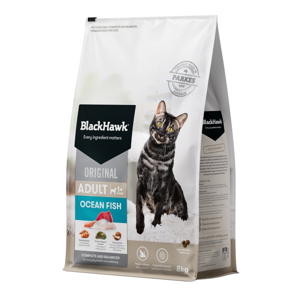 Black Hawk – Adult Cat – Ocean Fish