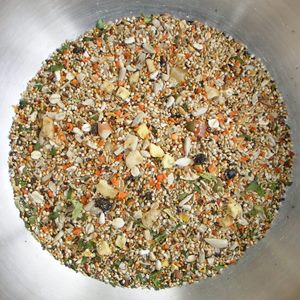 Birdzone – Budgie Blend