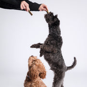 Bell & Bone Dog Dental Sticks Lamb Mint Honey 44Pk