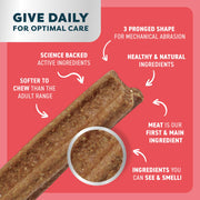 Bell & Bone Puppy Dental Chews Beef & Coconut