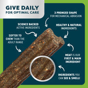 Bell & Bone Senior Dental Sticks Chicken Mint Ginger