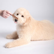 Bell & Bone Puppy Dental Chews Salmon & Carrot