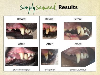 Simply Seaweed is a natural supplement for your pet, organically produced with no additives, preservatives or colouring.