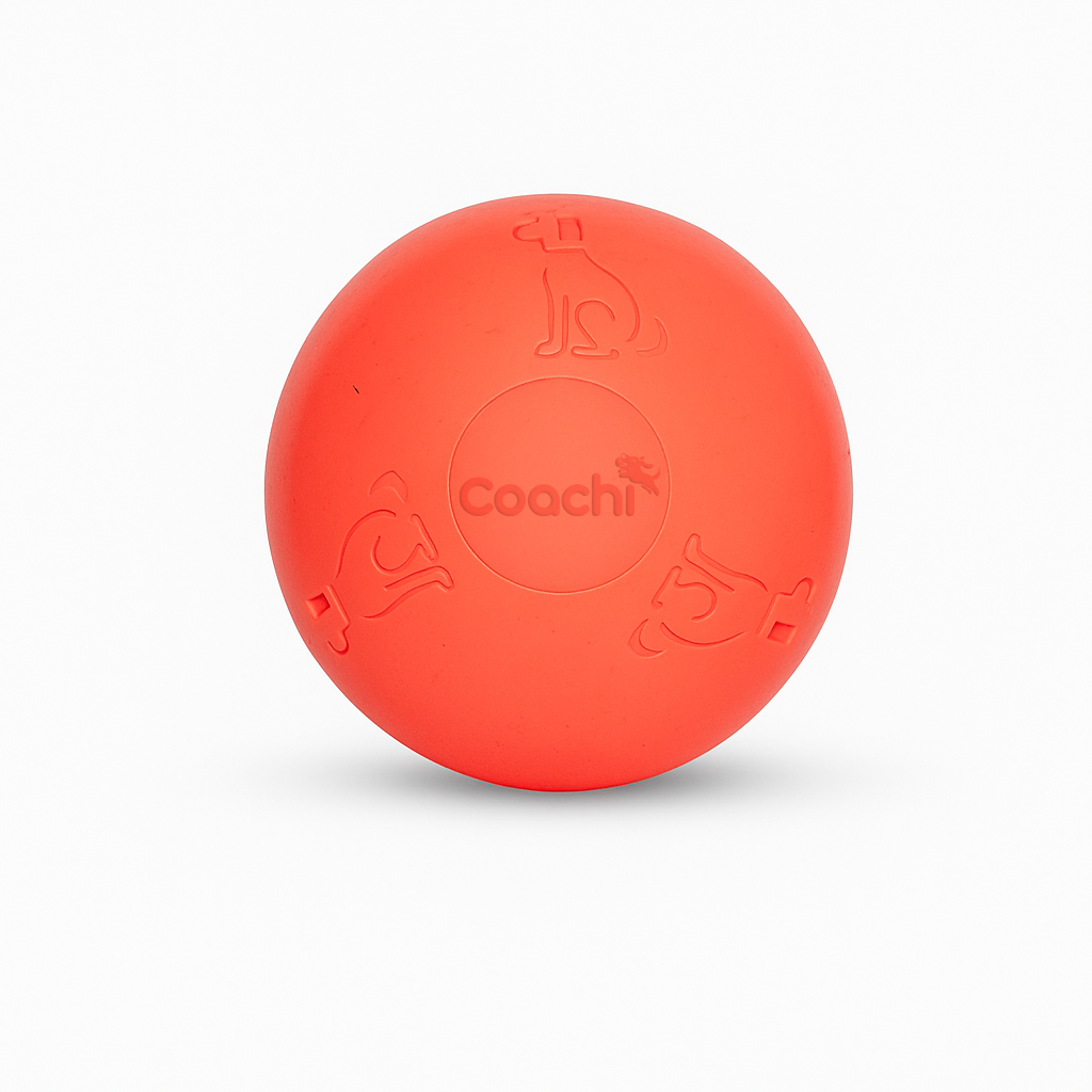 Coachi – Boomi Ball