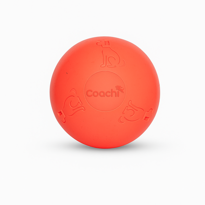 Coachi – Boomi Ball