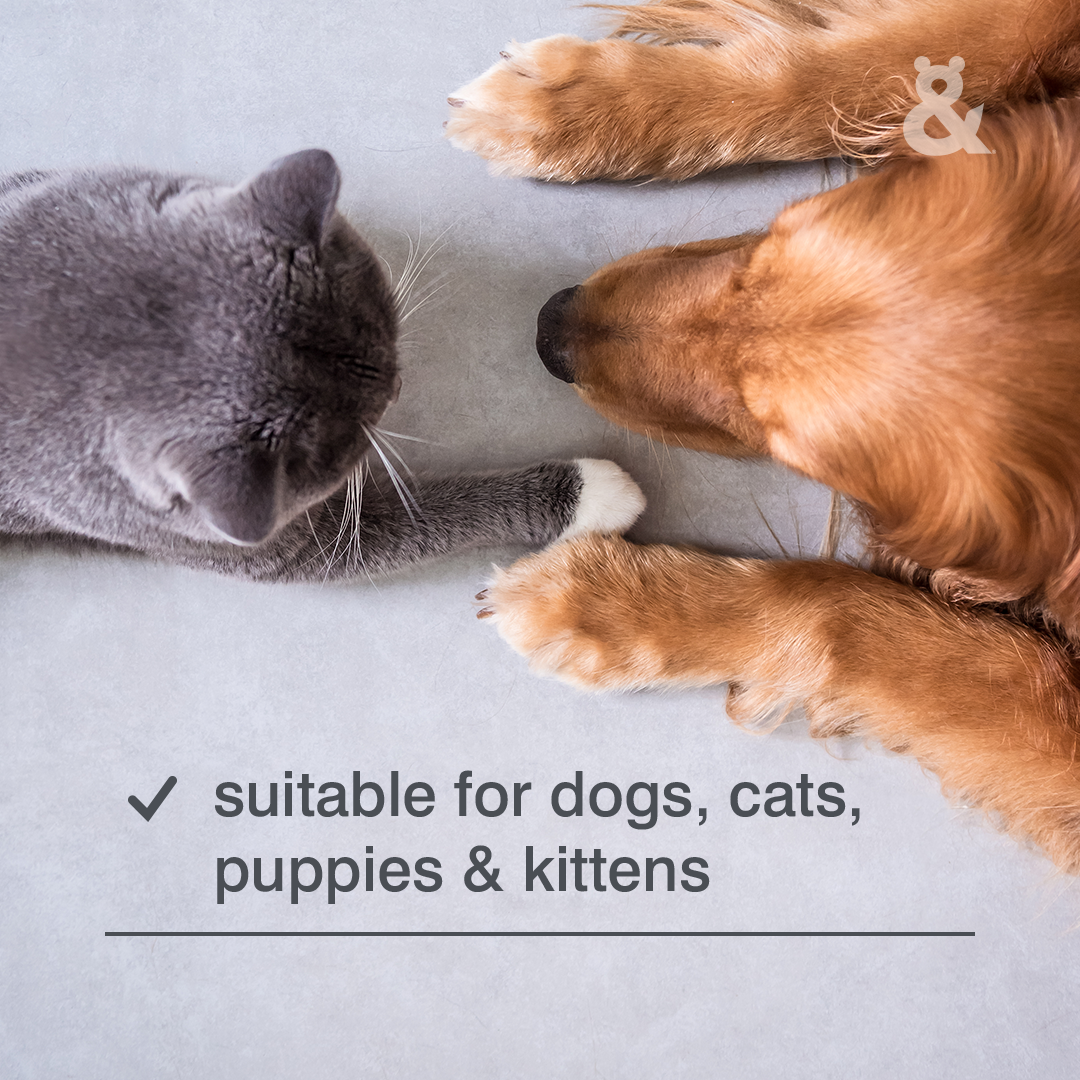 Rufus & Coco Breath Buddy 150Ml