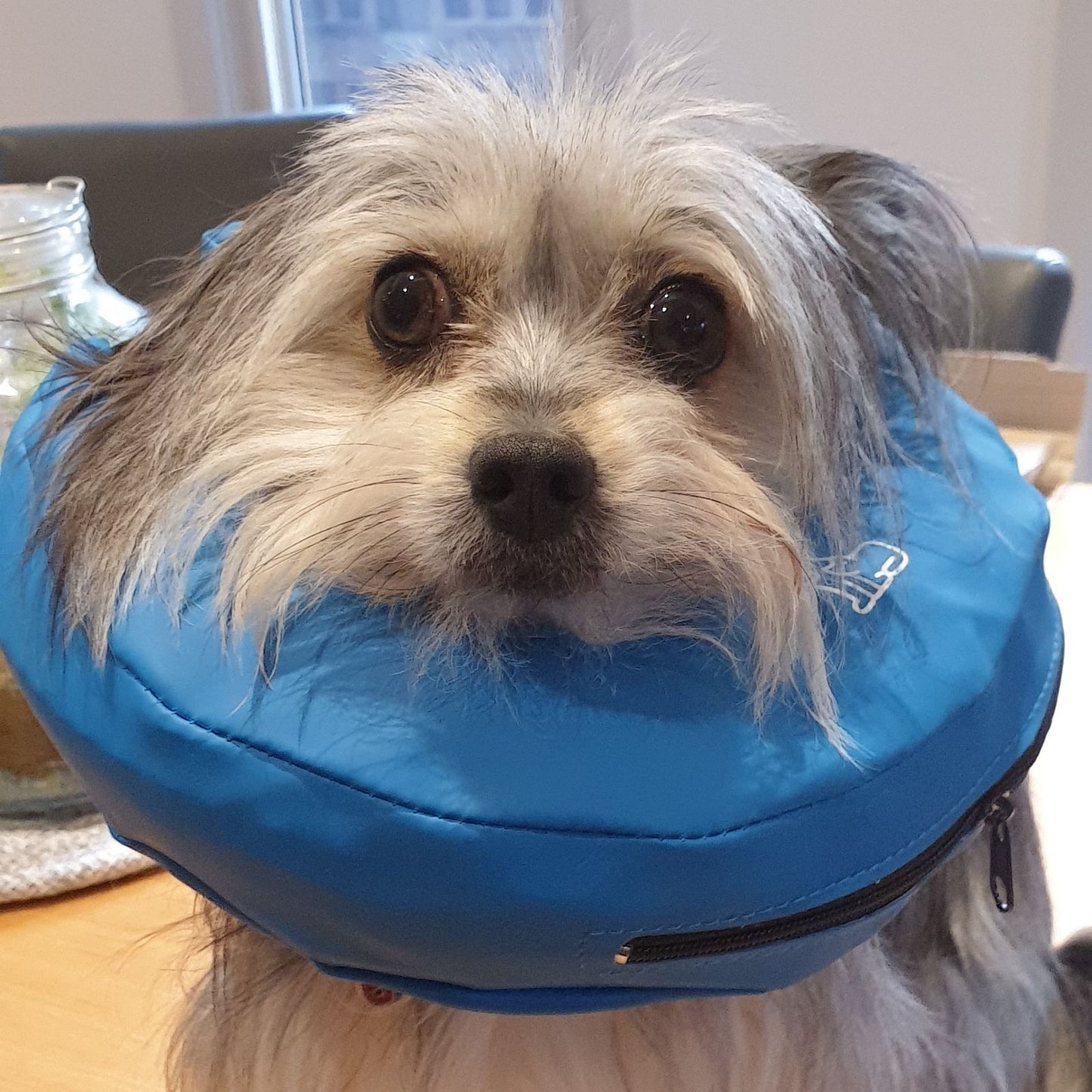 Buster Inflatable Medical Post Surgery Protective Nylon Dog/Cat Collar's