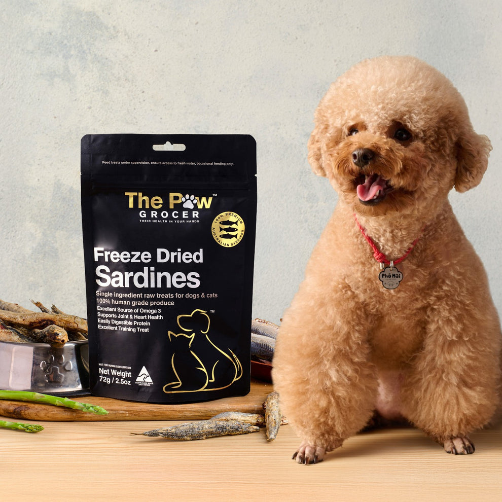 The Paw Grocer Black Label Freeze Dried Sardines 72G
