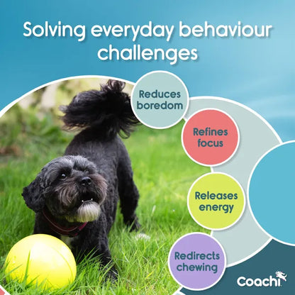 Coachi – Boomi Ball