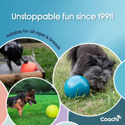 Coachi – Boomi Ball