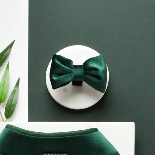 Cocopup London – LUXE Bow Tie – Forest Green Velvet