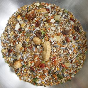 Birdzone – Conure Blend