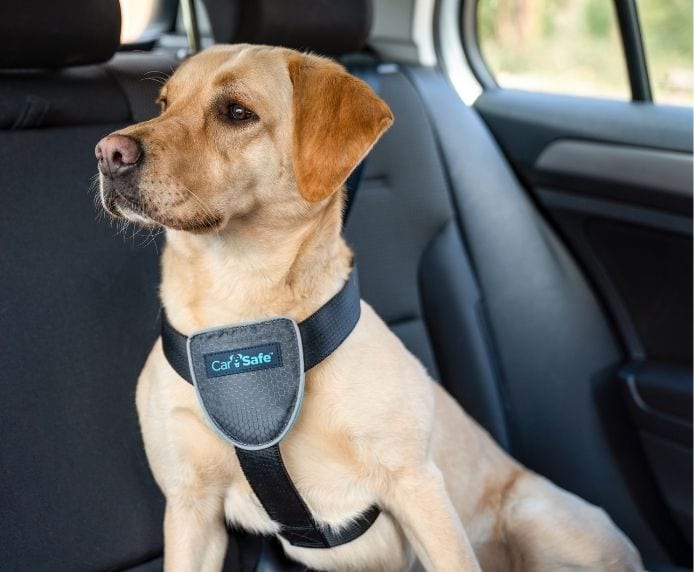 CarSafe – Travel Harness – Black