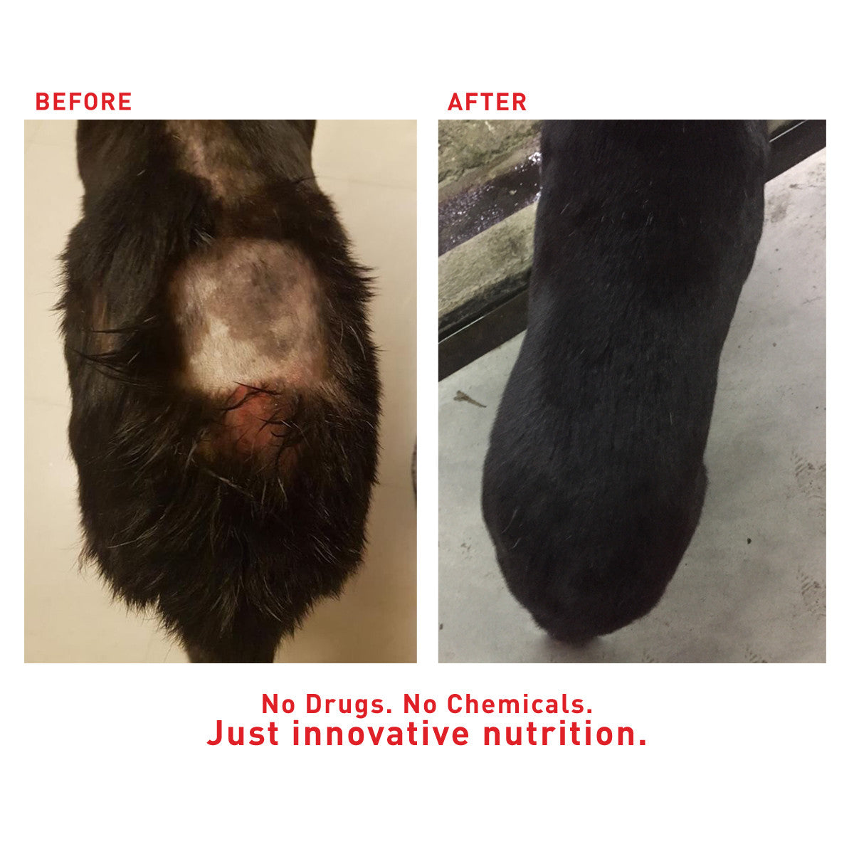 Augustine Approved Faith'S Cleanse & Detox 260G