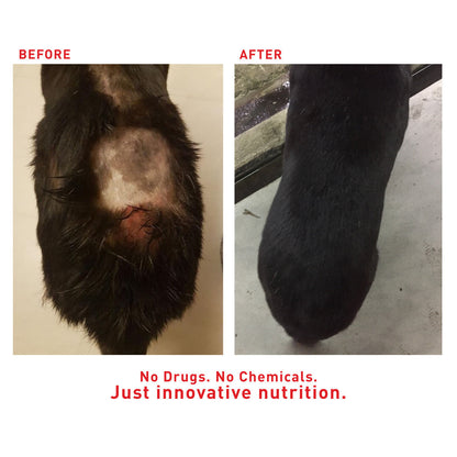 Augustine Approved Faith'S Cleanse & Detox 260G