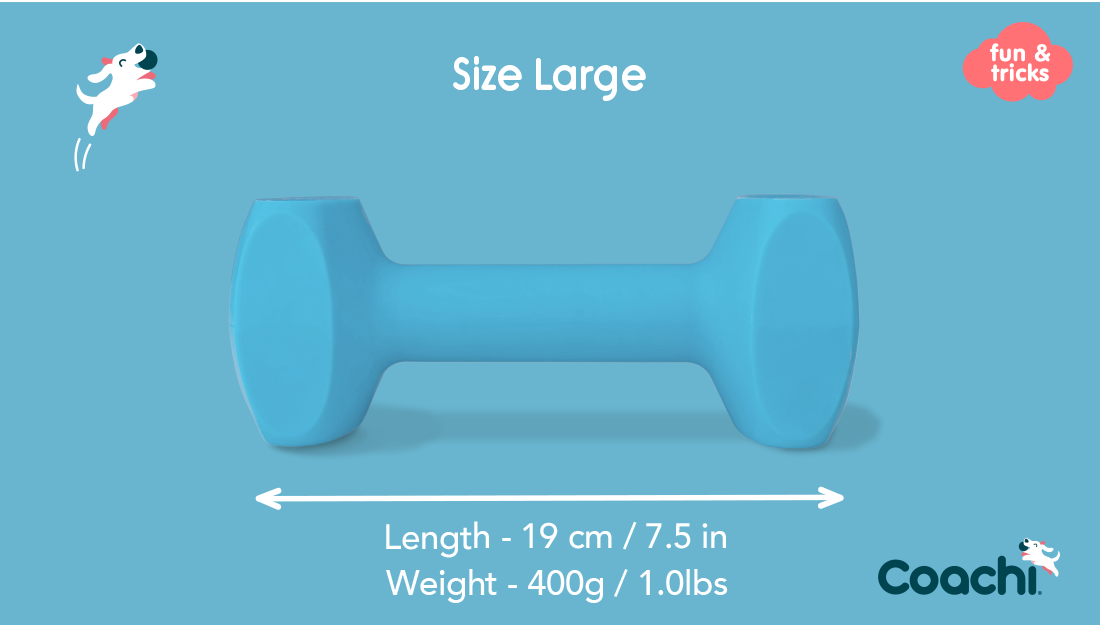 Coachi Training Dumbbell