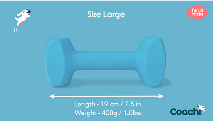 Coachi Training Dumbbell