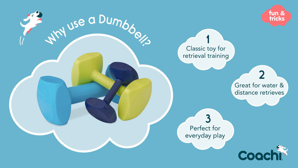 Coachi Training Dumbbell