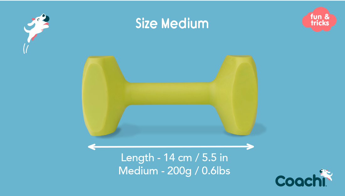 Coachi Training Dumbbell