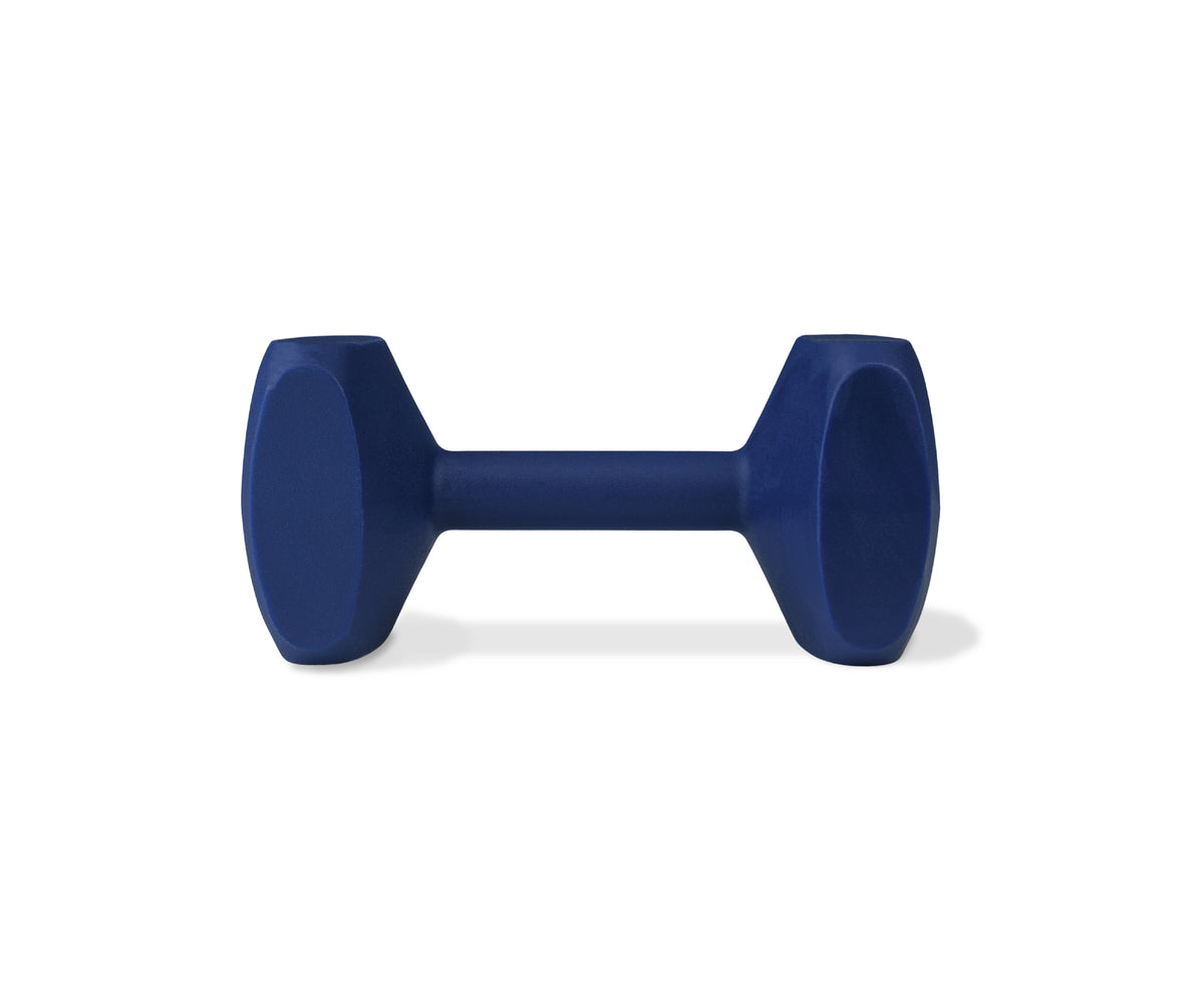 Coachi Training Dumbbell