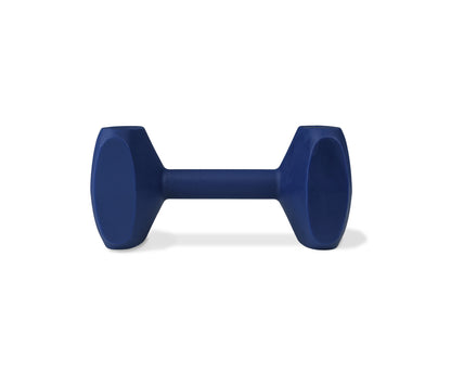Coachi Training Dumbbell