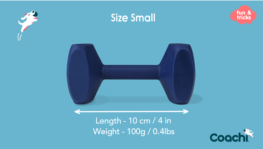 Coachi Training Dumbbell