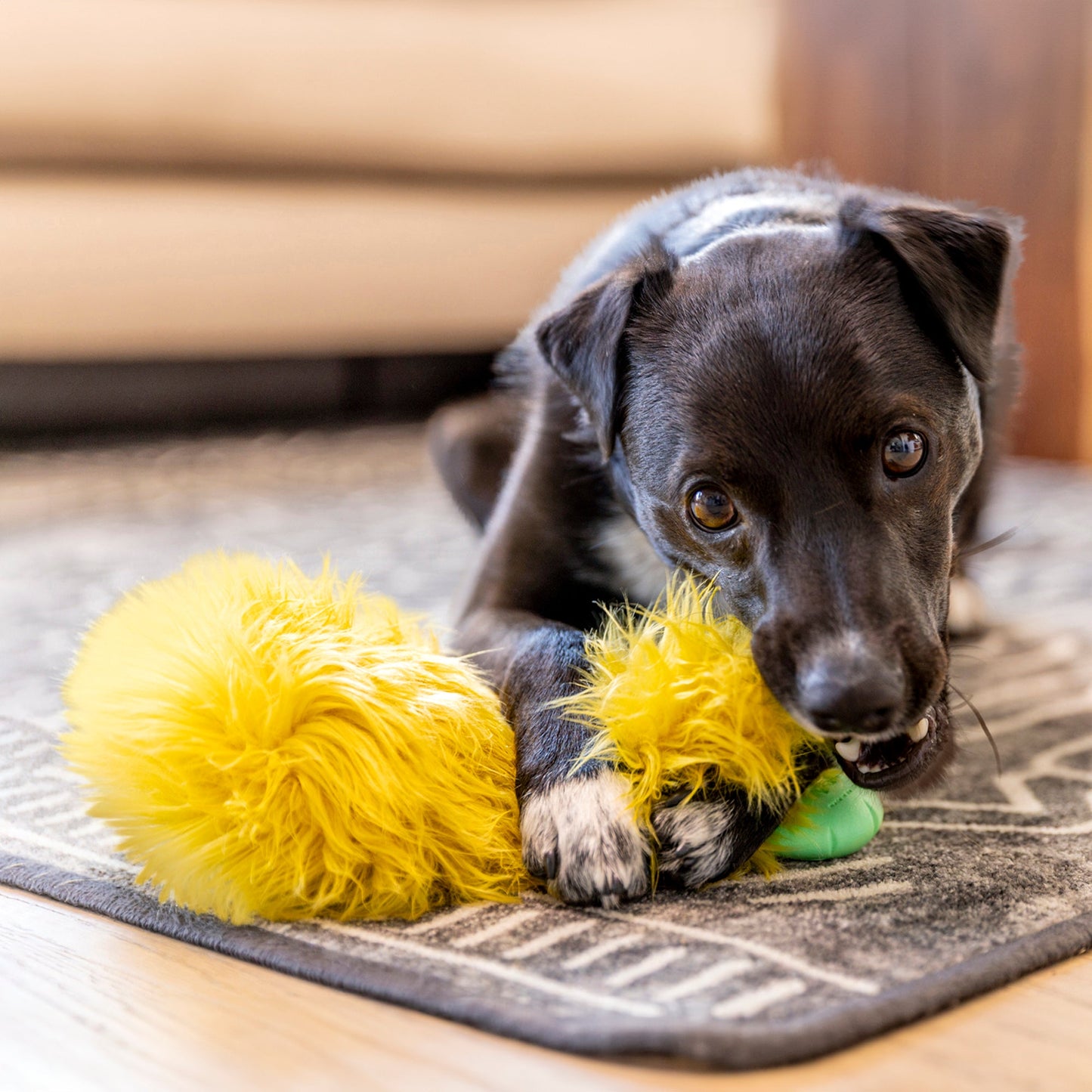 West Paw Rowdies Plush  Astrid