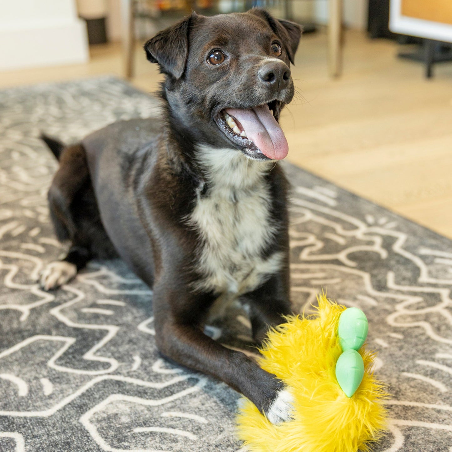 West Paw Rowdies Plush  Rolf