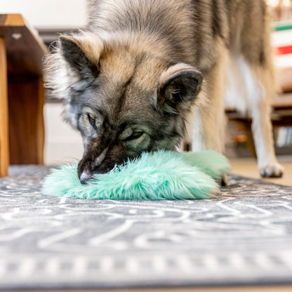 West Paw Rowdies Plush  Bjorn