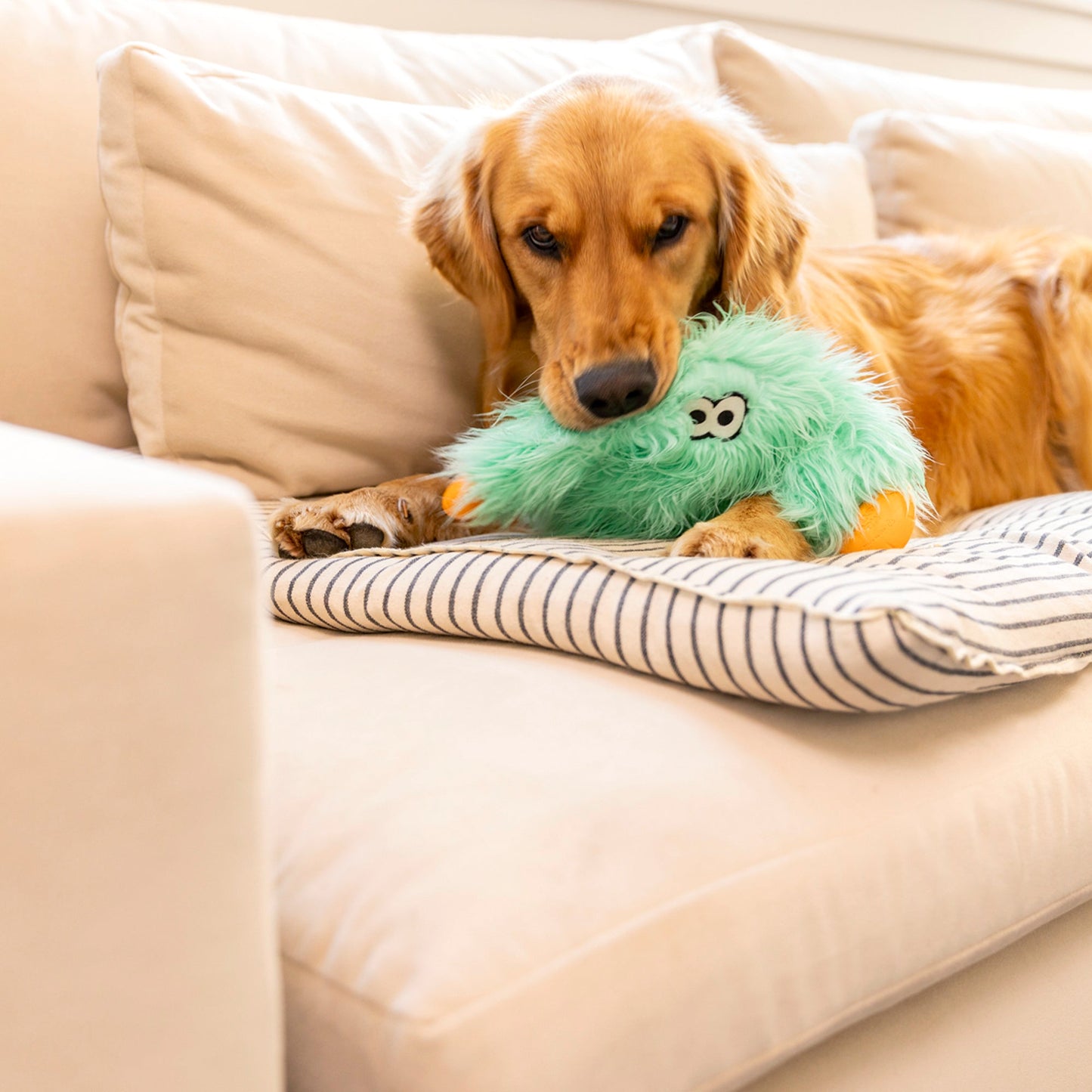 West Paw Rowdies Plush  Bjorn